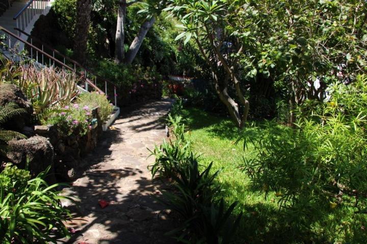 Calaça Villa Funchal (Madeira)
